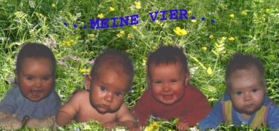 eine Collage mit 4 Babys