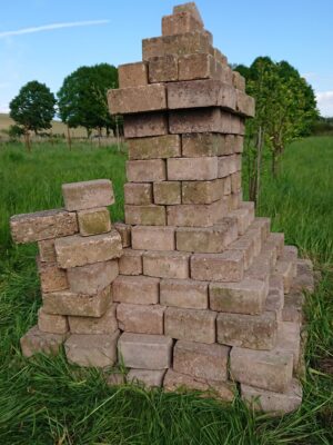 Eidechsenburg Eidechsenburg